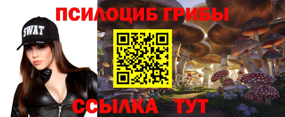 Магадан  где купить   Вход с VPN  Псилоцибиновые грибы Psilocybe  Галлюциногенные грибы Cubensis 