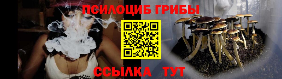 Псилоцибиновые грибы GOLDEN TEACHER Магадан